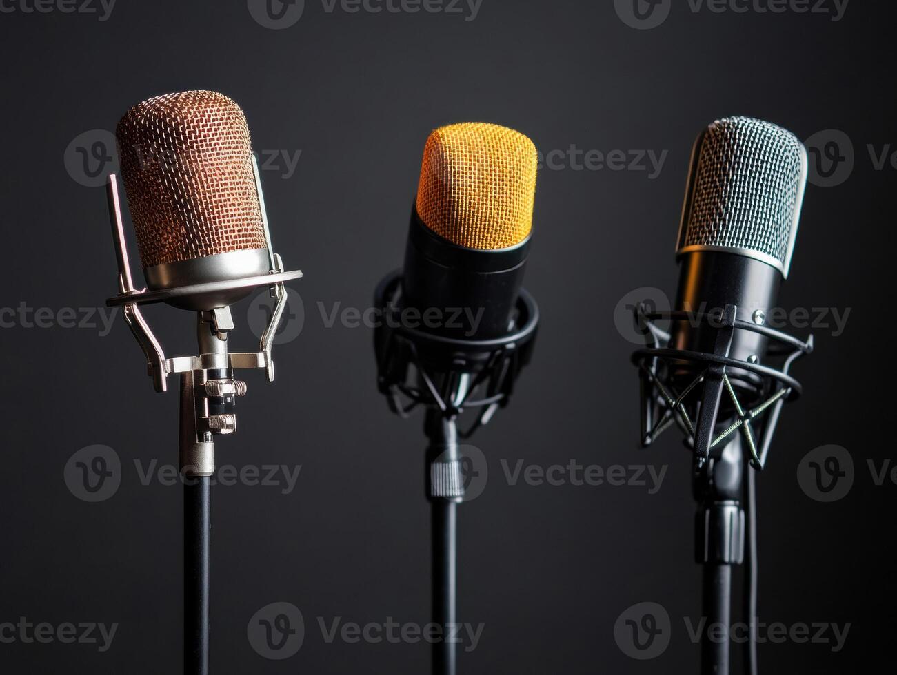 Different styles of microphones stand ready for recording sessions photo