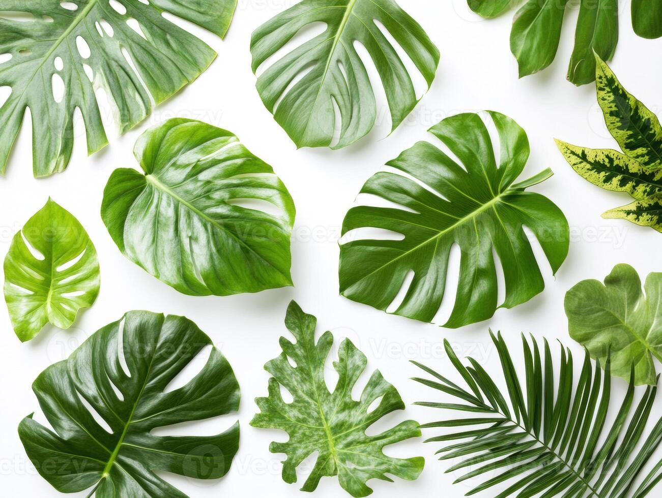 Collection of vibrant green leaves arranged on a light background photo