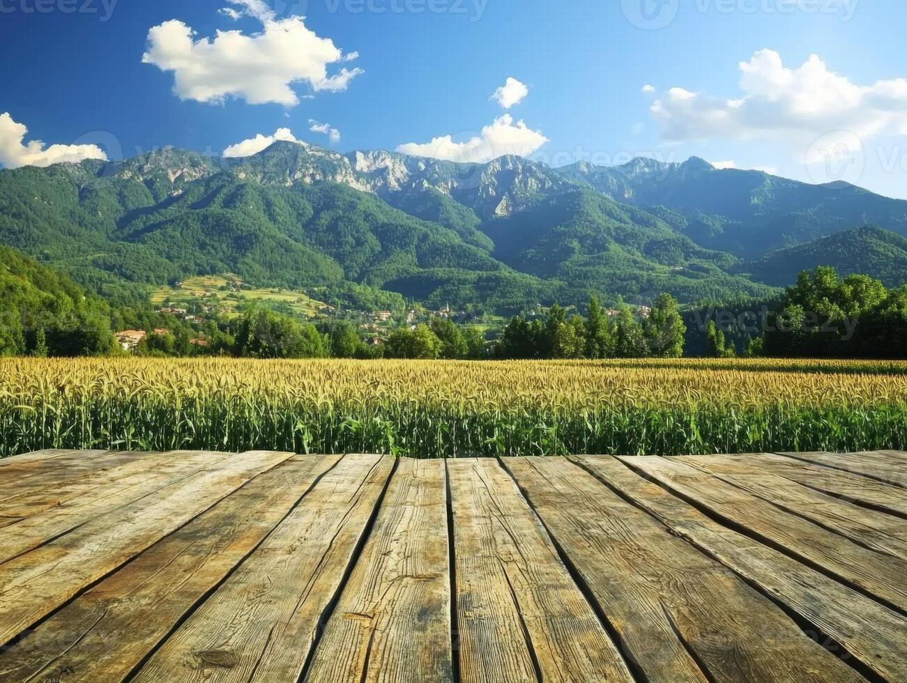 Majestic mountains overlook fertile fields in clear daylight photo