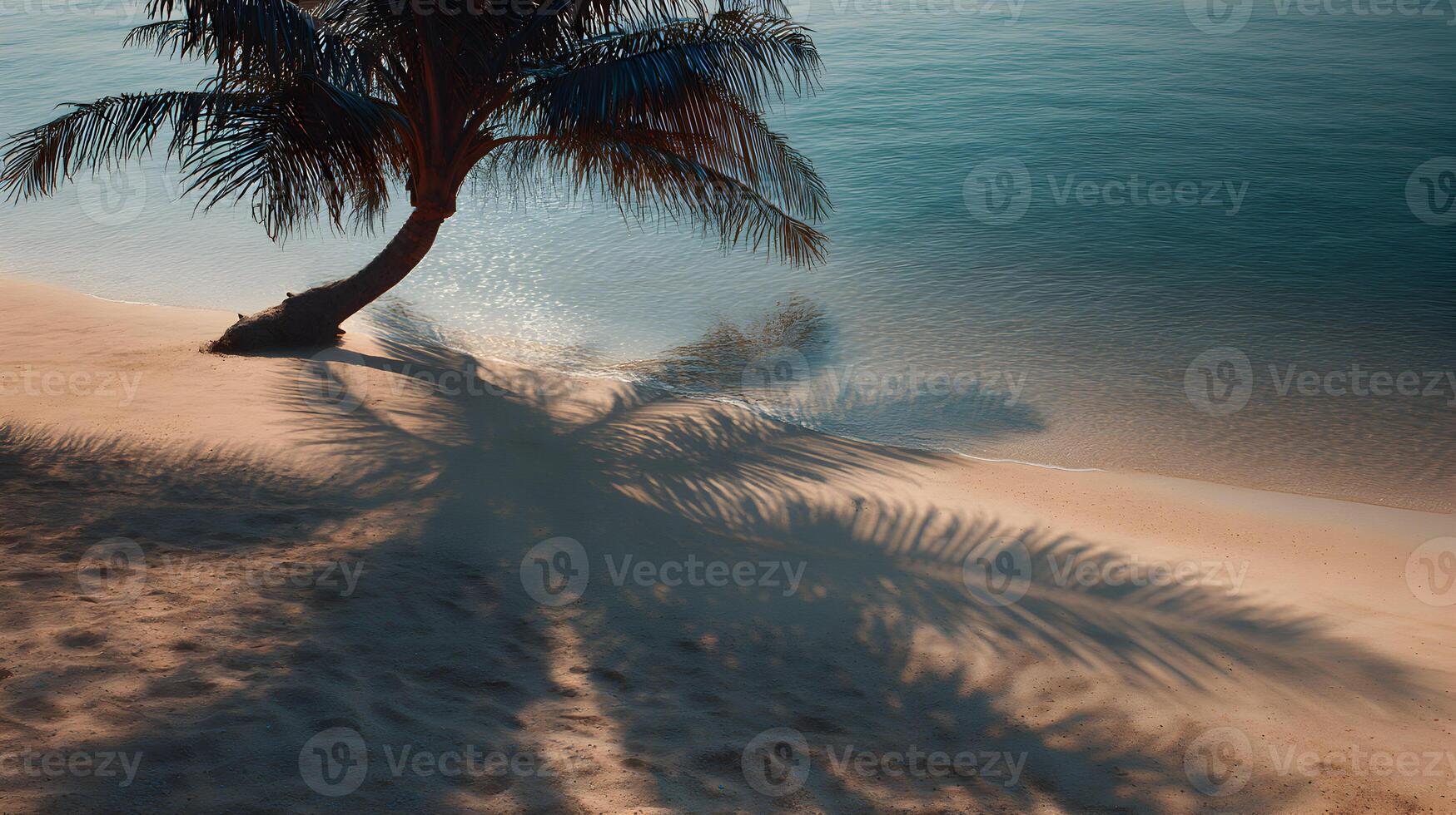 Paradise beach with a palm tree casting shadows over the sand at sunset on a tropical island photo