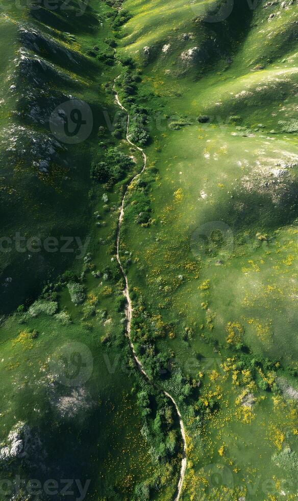 Scenic aerial view capturing a winding path through a lush green valley with scattered yellow flowers photo