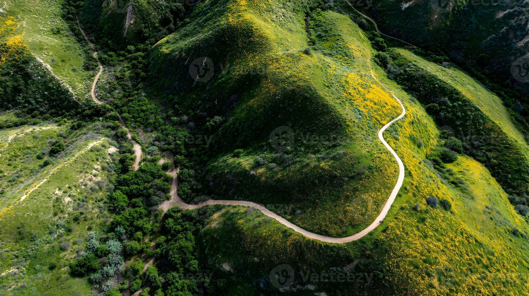 Scenic aerial view of a winding dirt path through lush green hills covered in wildflowers photo