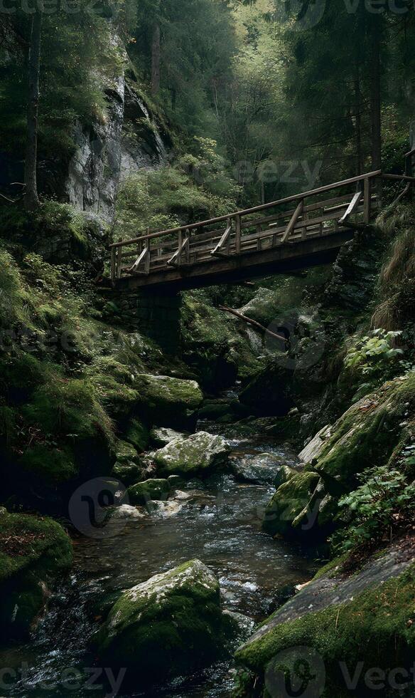 Mystical woodland stream with old wooden bridge captured in soothing natural light photo