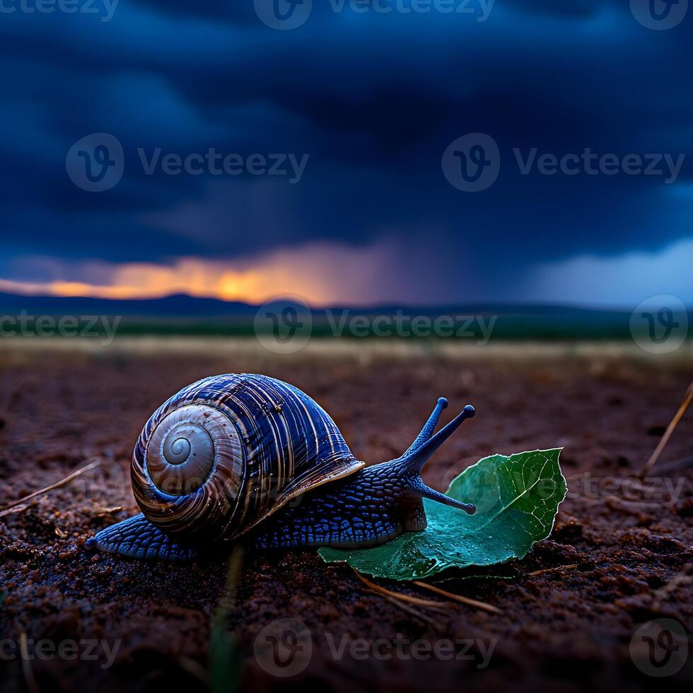 Snail crawling on leaf during dramatic sunset with storm clouds photo