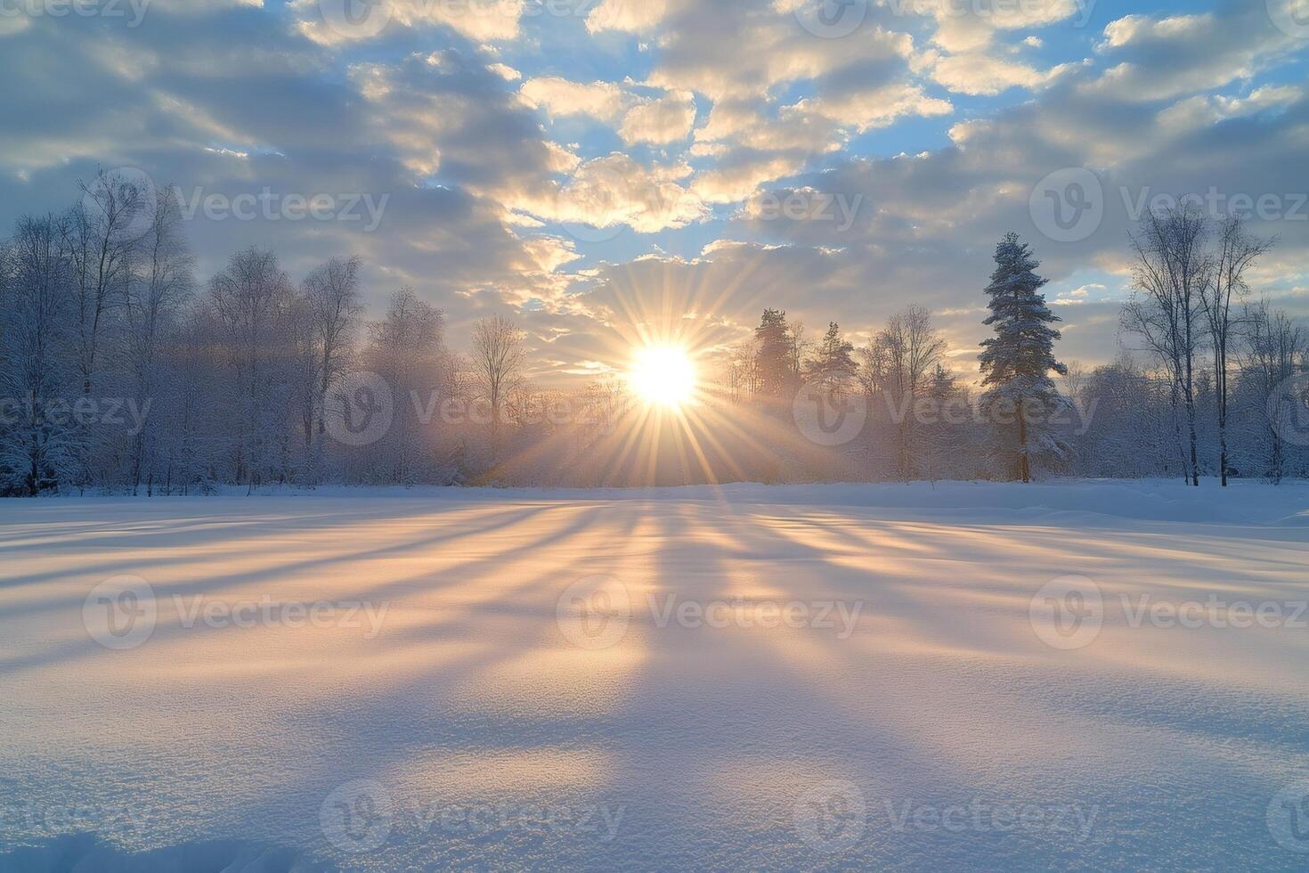 Bright sun shining over snowy field and forest in winter photo