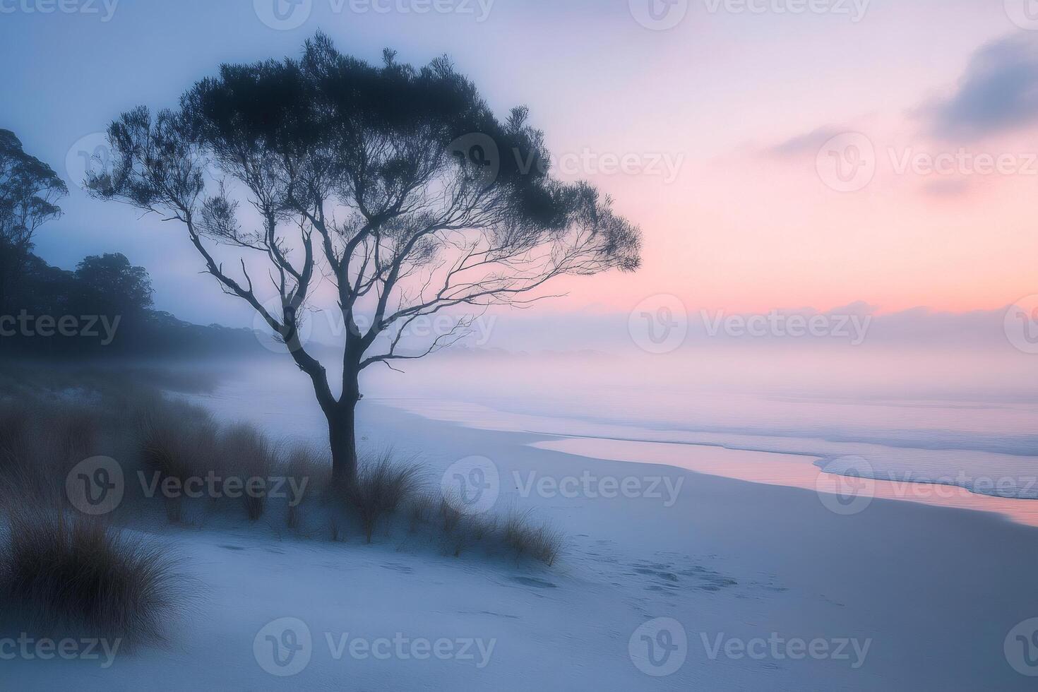 Lonely tree standing on a foggy beach at sunrise photo