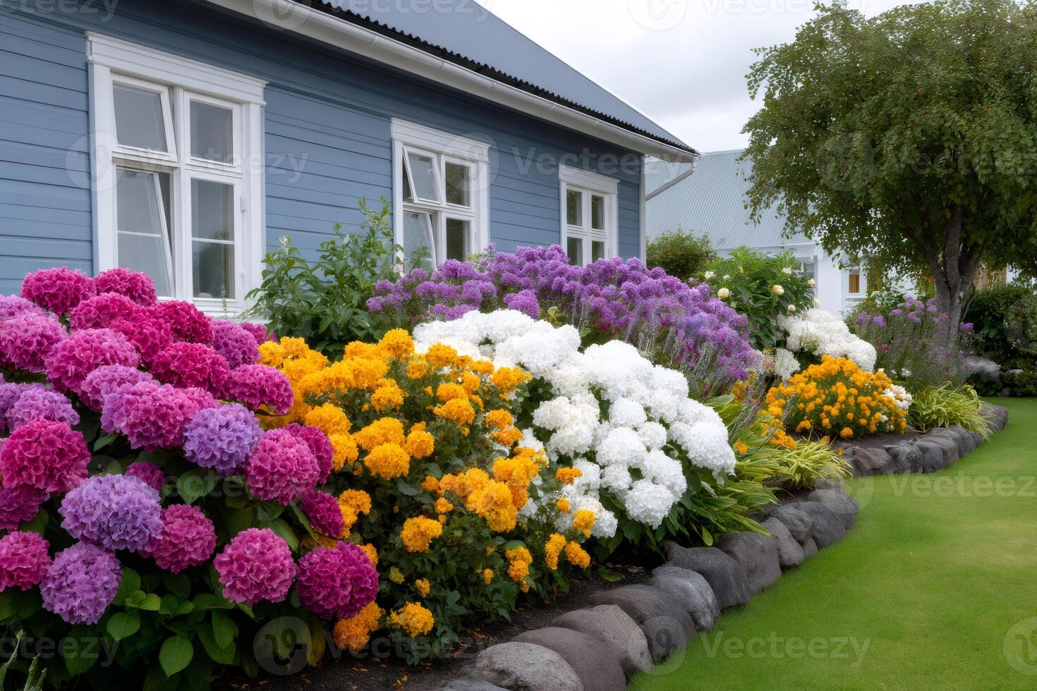 Colorful hydrangeas and other flowers growing near a blue wooden house photo