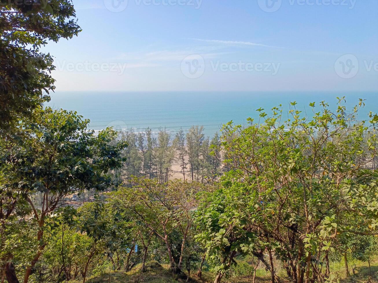 Dense green trees cover the hillside like a blanket beneath the gentle blue sky making this a peaceful retreat into the simplicity of nature photo