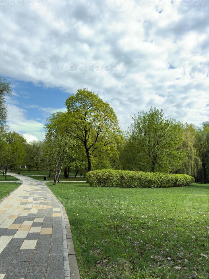 Vertical view of landscaped city park with winding tiled path, trimmed hedges, and lush green trees under dramatic sky. Ideal public space for walking, leisure, and nature appreciation photo