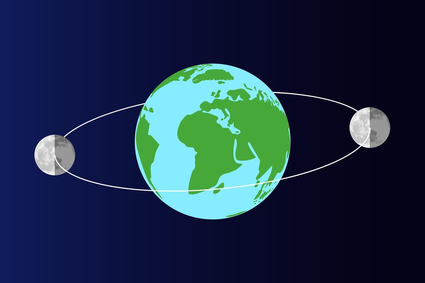 Moon's Orbit Around the Earth with Lunar Phases vector