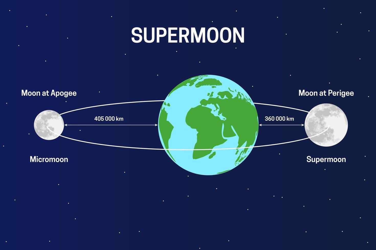 Supermoon and Micromoon Illustration vector