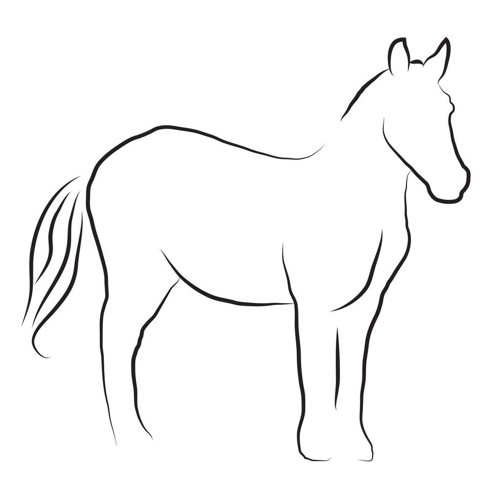 Horse Outline Thin Isolated Illustration vector