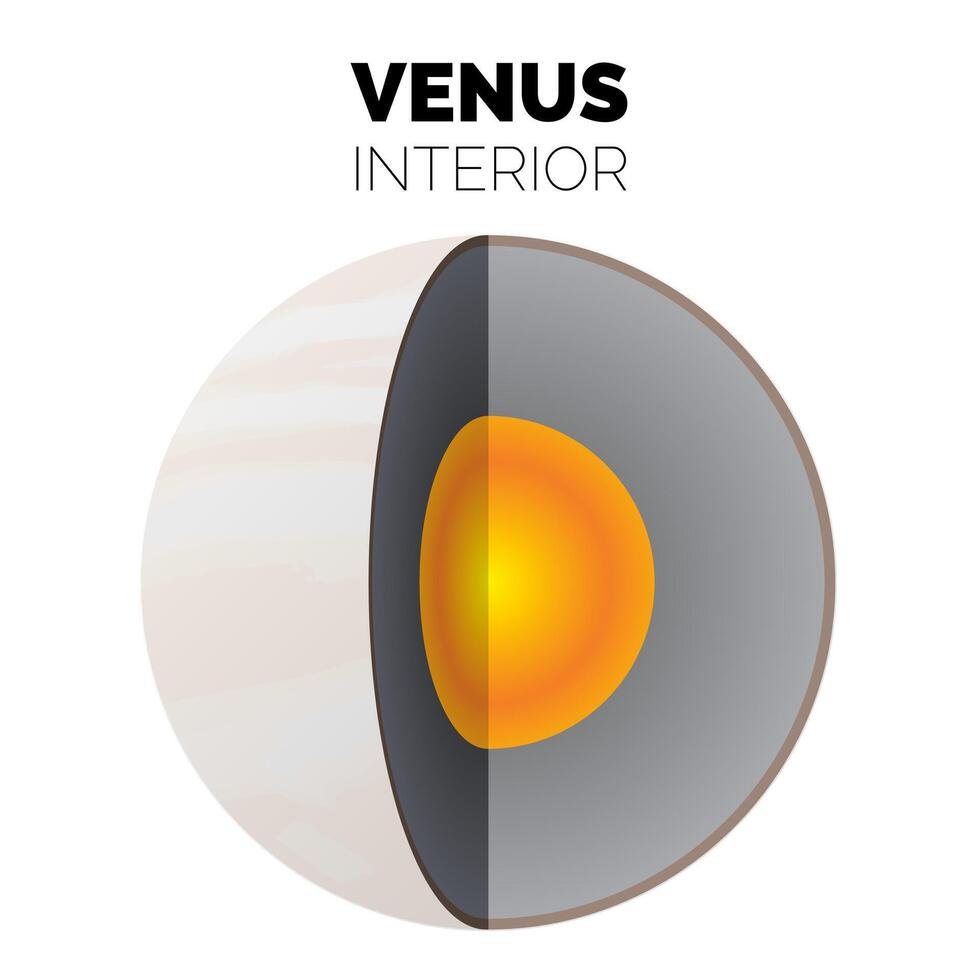 Venus Planet Interior or Layers of the Venus with Iron Core, Rocky Mantle and Rocky Crust Isolated Illustration vector