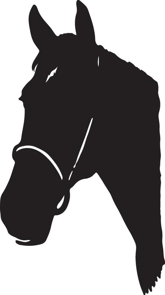 Horse with half body vector