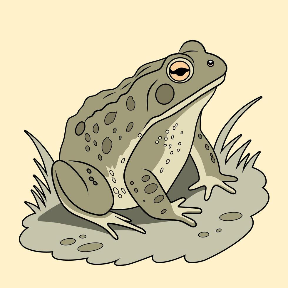 colorful toad in natural habitat vector