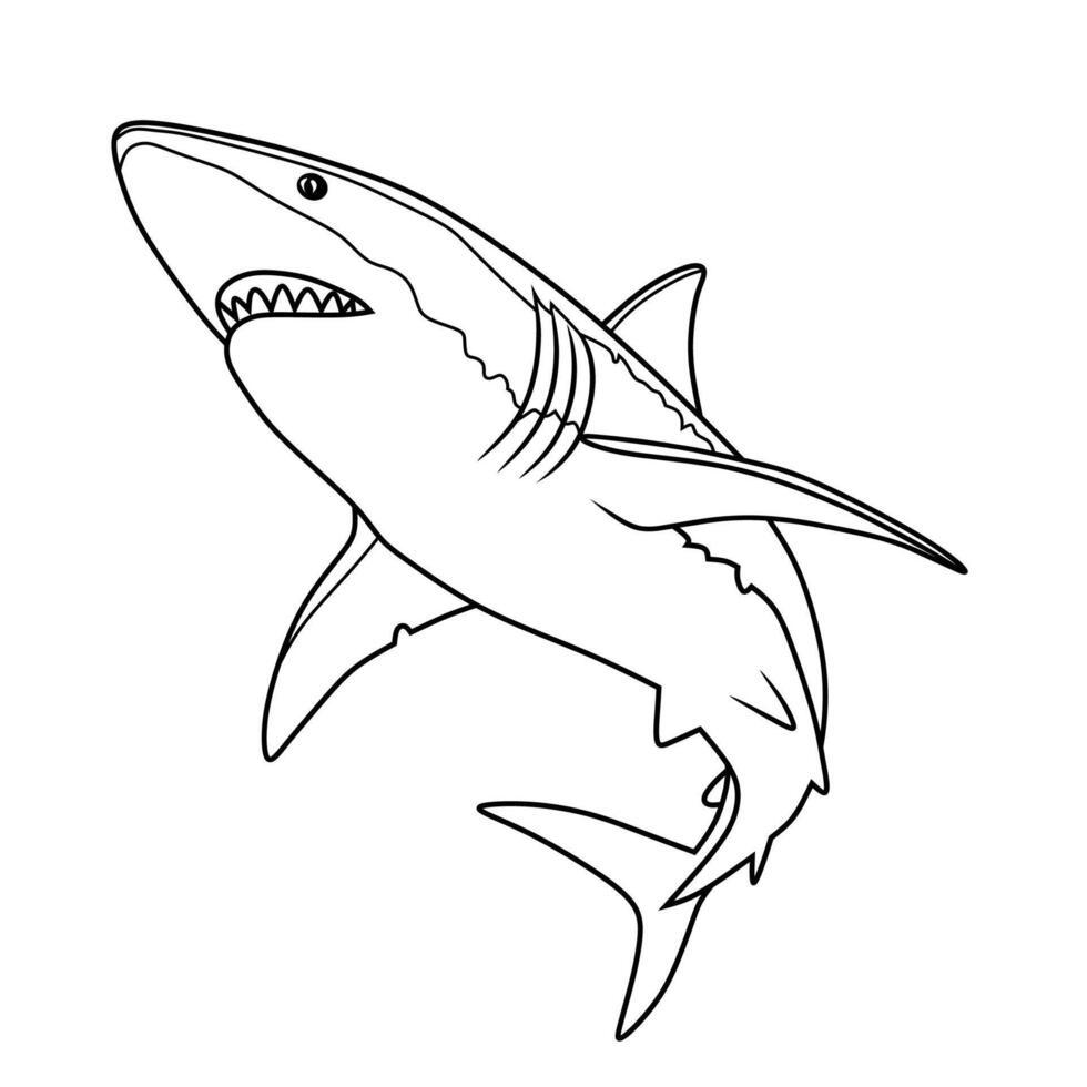 Elegant Line Art Shark in Blue Ocean vector