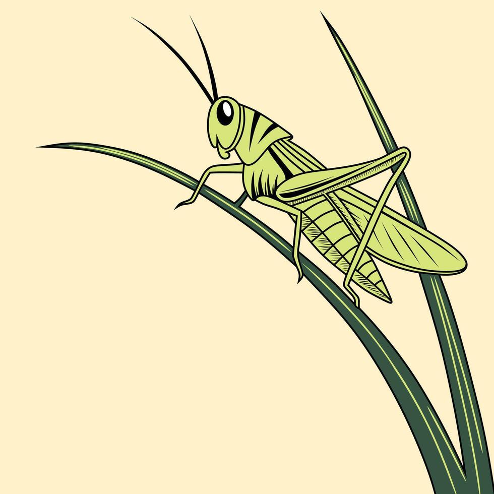 Green Grasshopper on Fresh Leaf vector