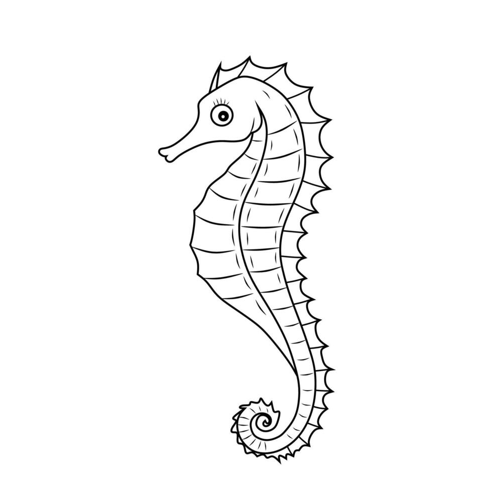 Elegant Line Art Sea Cucumber vector