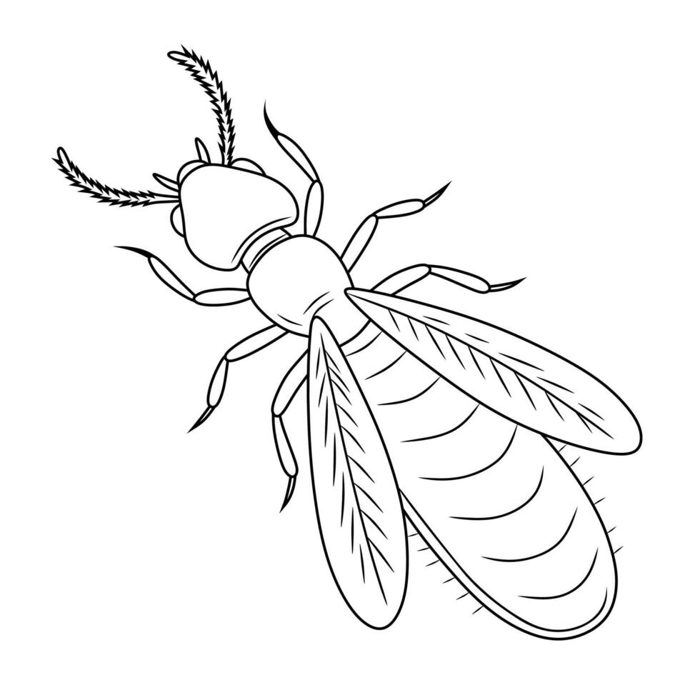 Line Art Termite - Black and White Illustration vector