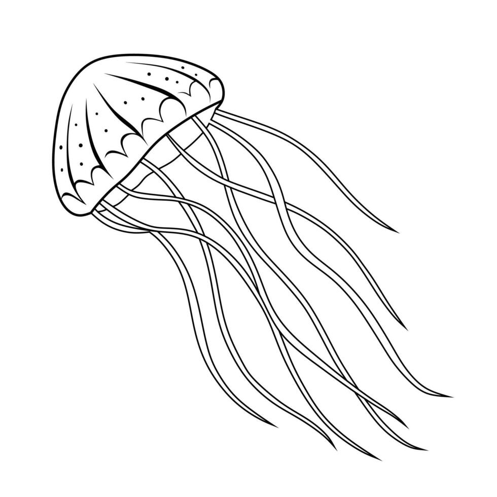 Elegant Line Art Jellyfish in the Ocean vector