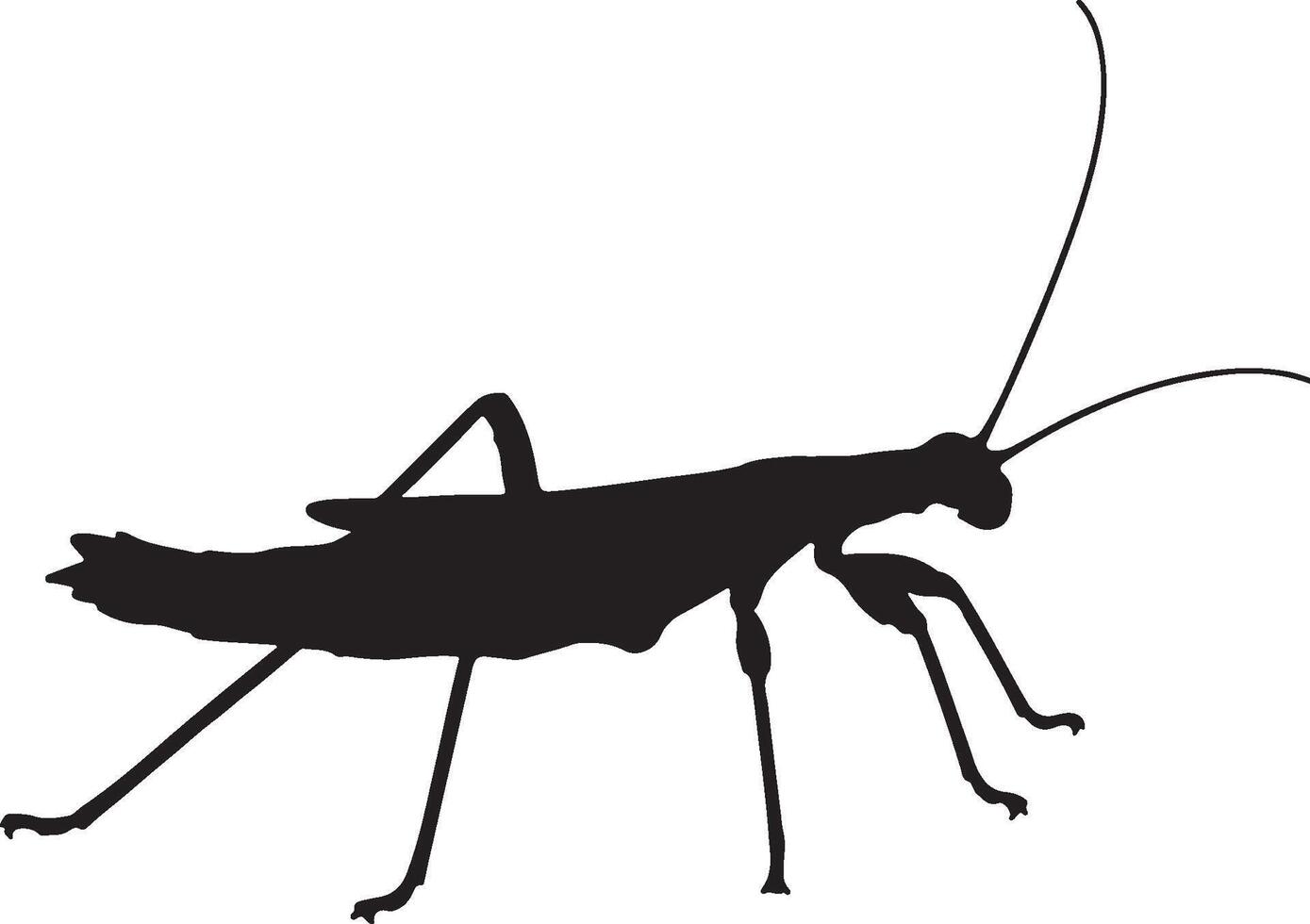 Silhouette of a grasshopper on a white background vector