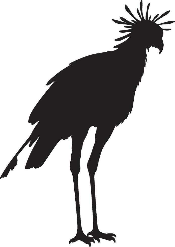 A black and white silhouette of a bird with long feathers vector