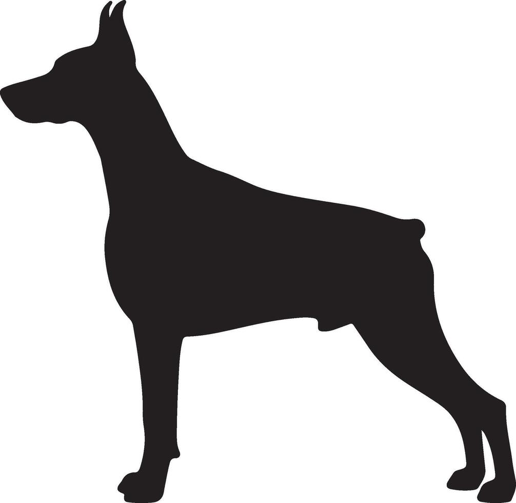 A silhouette of a doberman dog vector