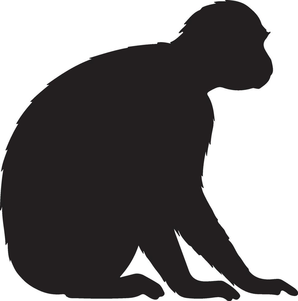 Silhouette of a monkey sitting on the ground vector