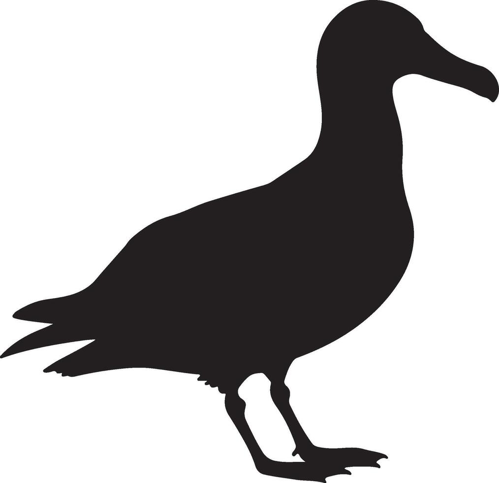 A black silhouette of a seagull standing on a white background vector