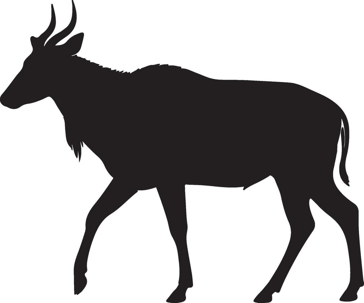 Silhouette of a wildebeest on a white background vector