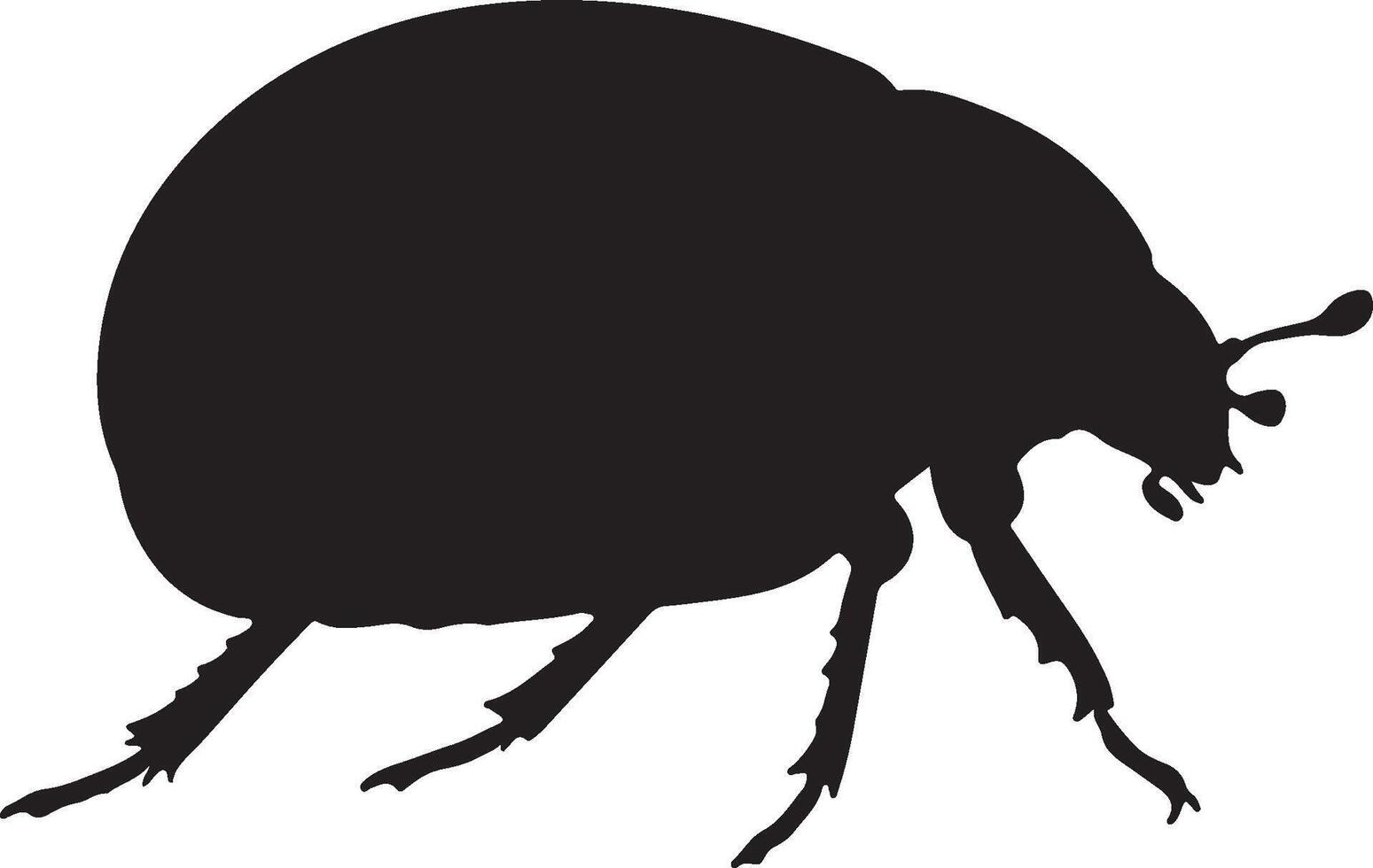 A black and white silhouette of a beetle vector