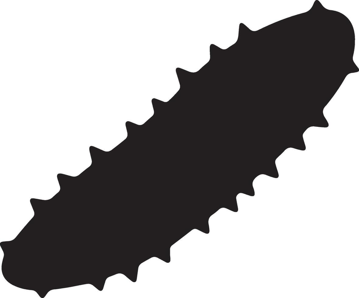 A cactus is shown in black on a white background vector