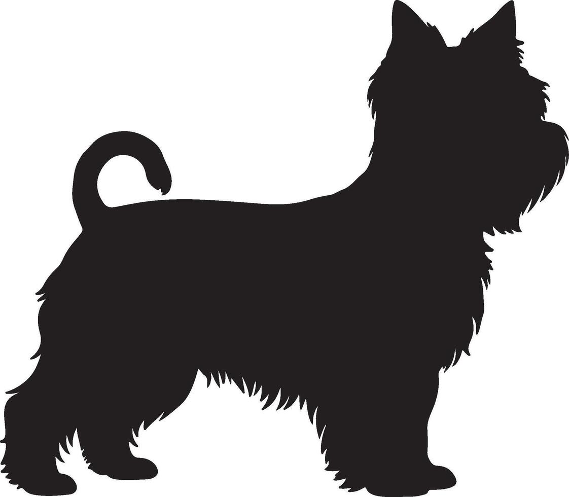 A black and white silhouette of a scottish terrier vector