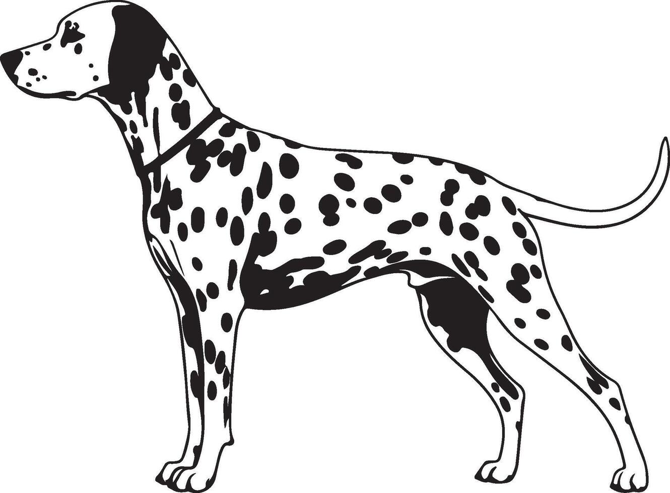 Dalmatian dog clipart vector
