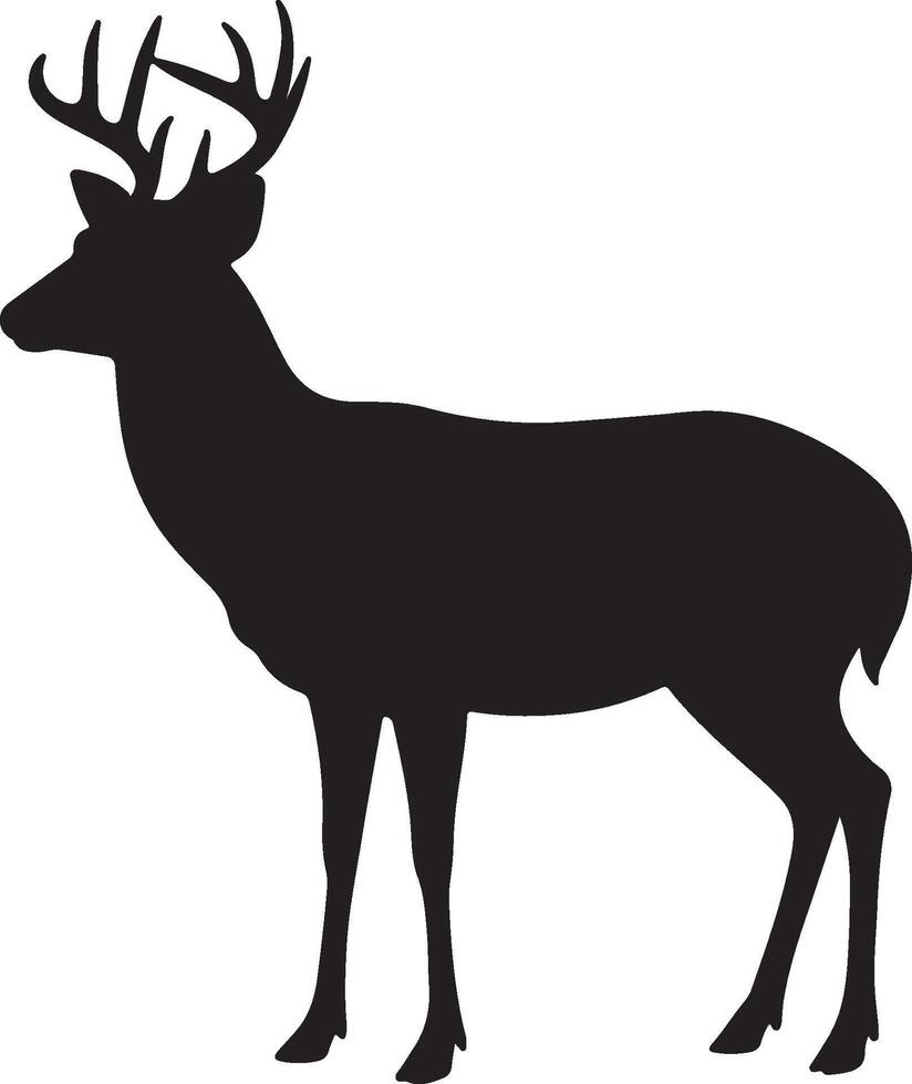 A silhouette of a deer standing on a white background vector