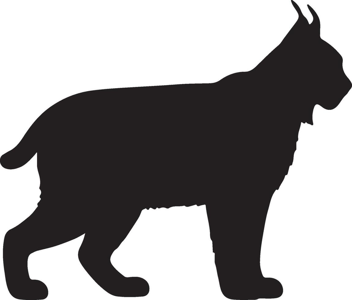A black silhouette of a lynx standing on a white background vector