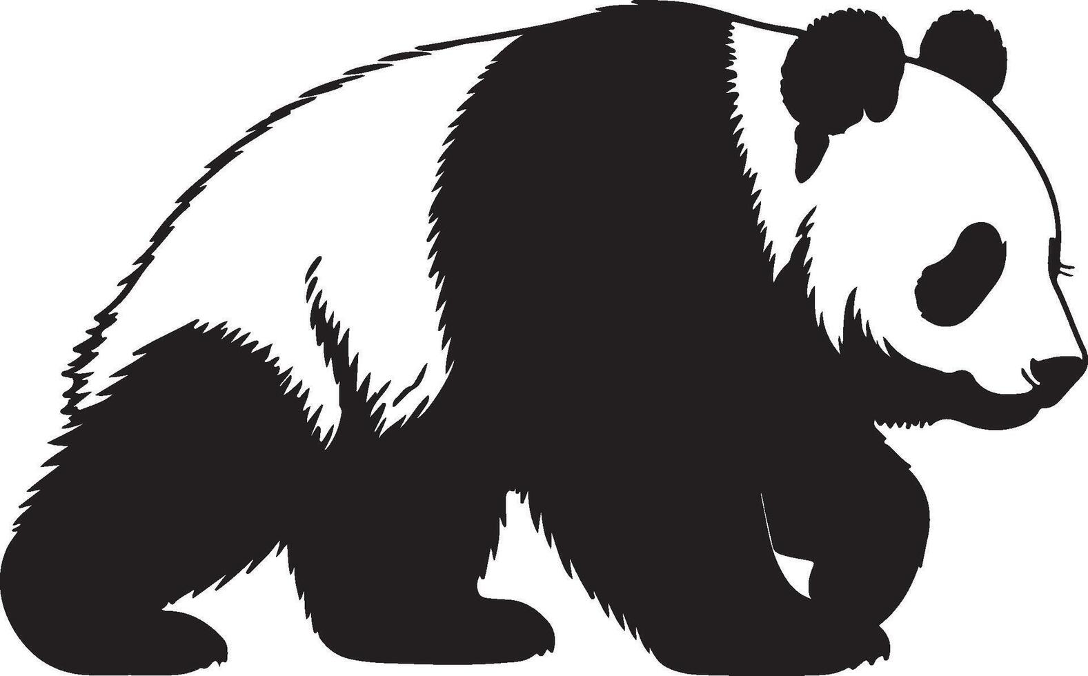 Panda bear silhouette on a white background vector