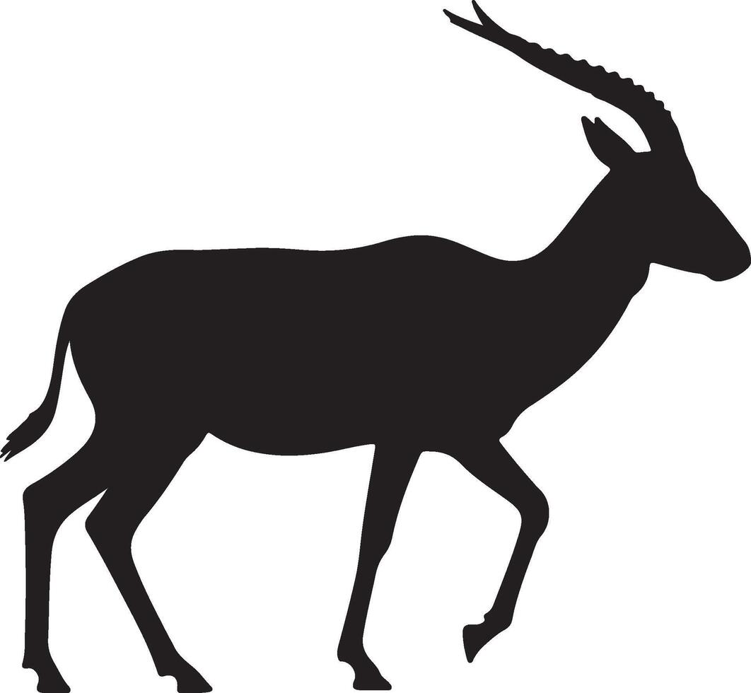 Silhouette of an antelope on a white background vector