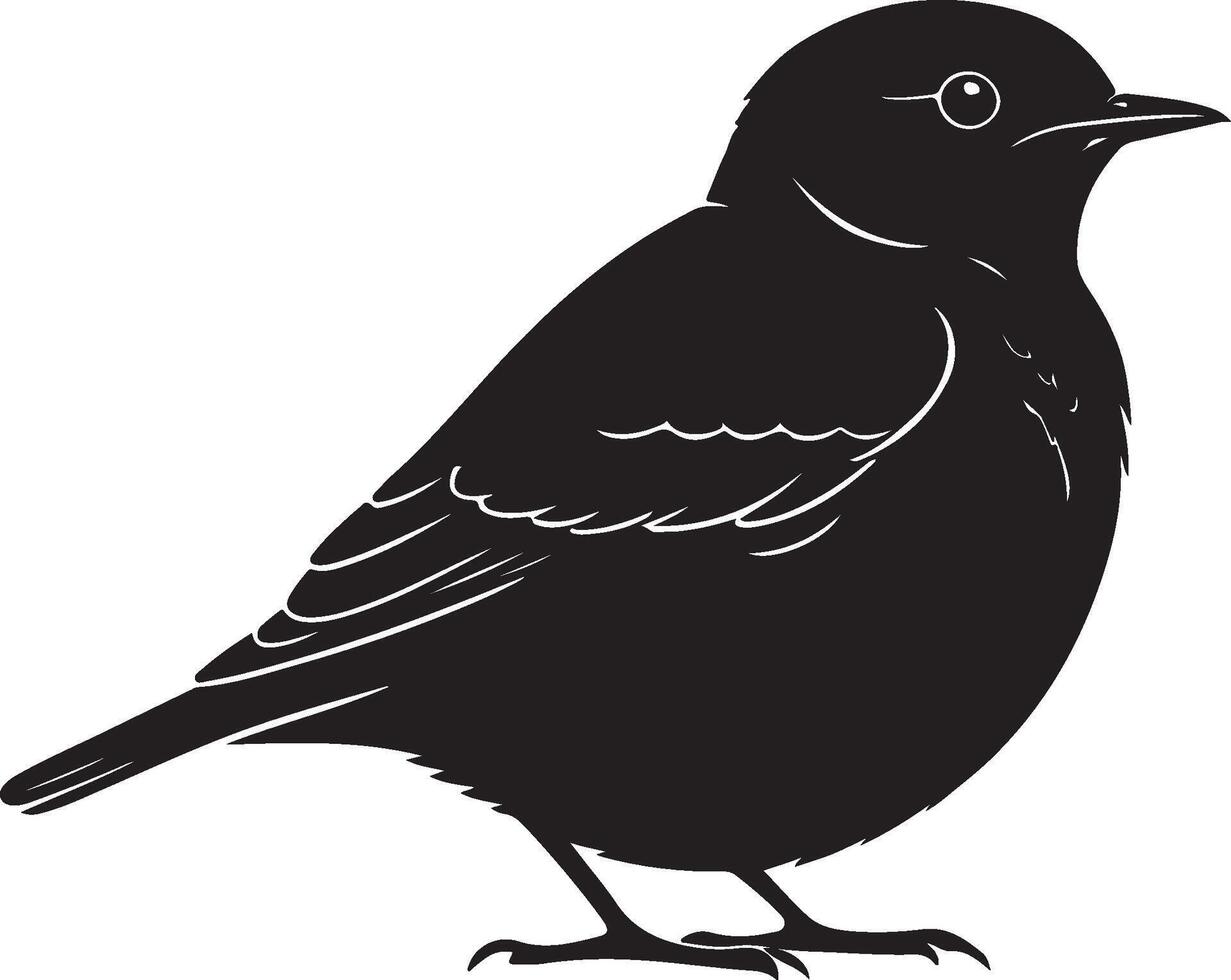Black bird silhouette on white background vector
