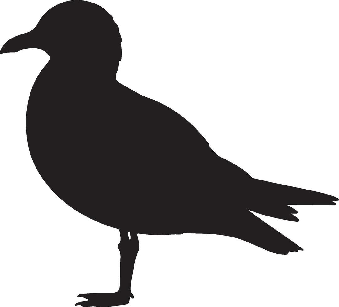 A black and white silhouette of a seagull vector