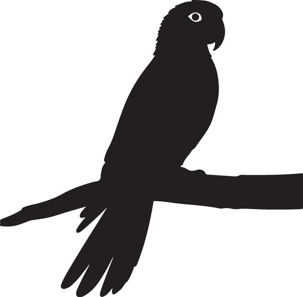 A black and white silhouette of a parrot sitting on a branch vector