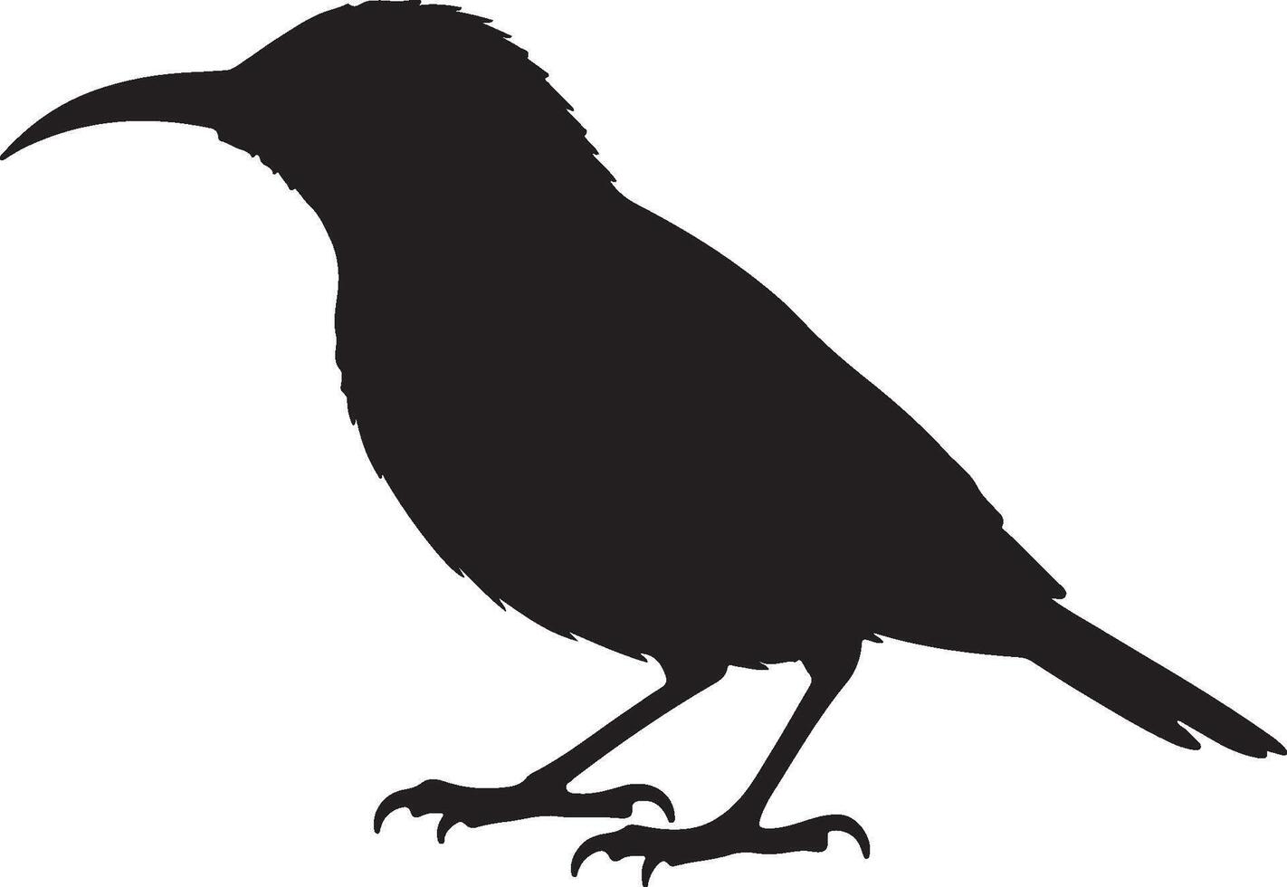 A black silhouette of a bird standing on its feet vector