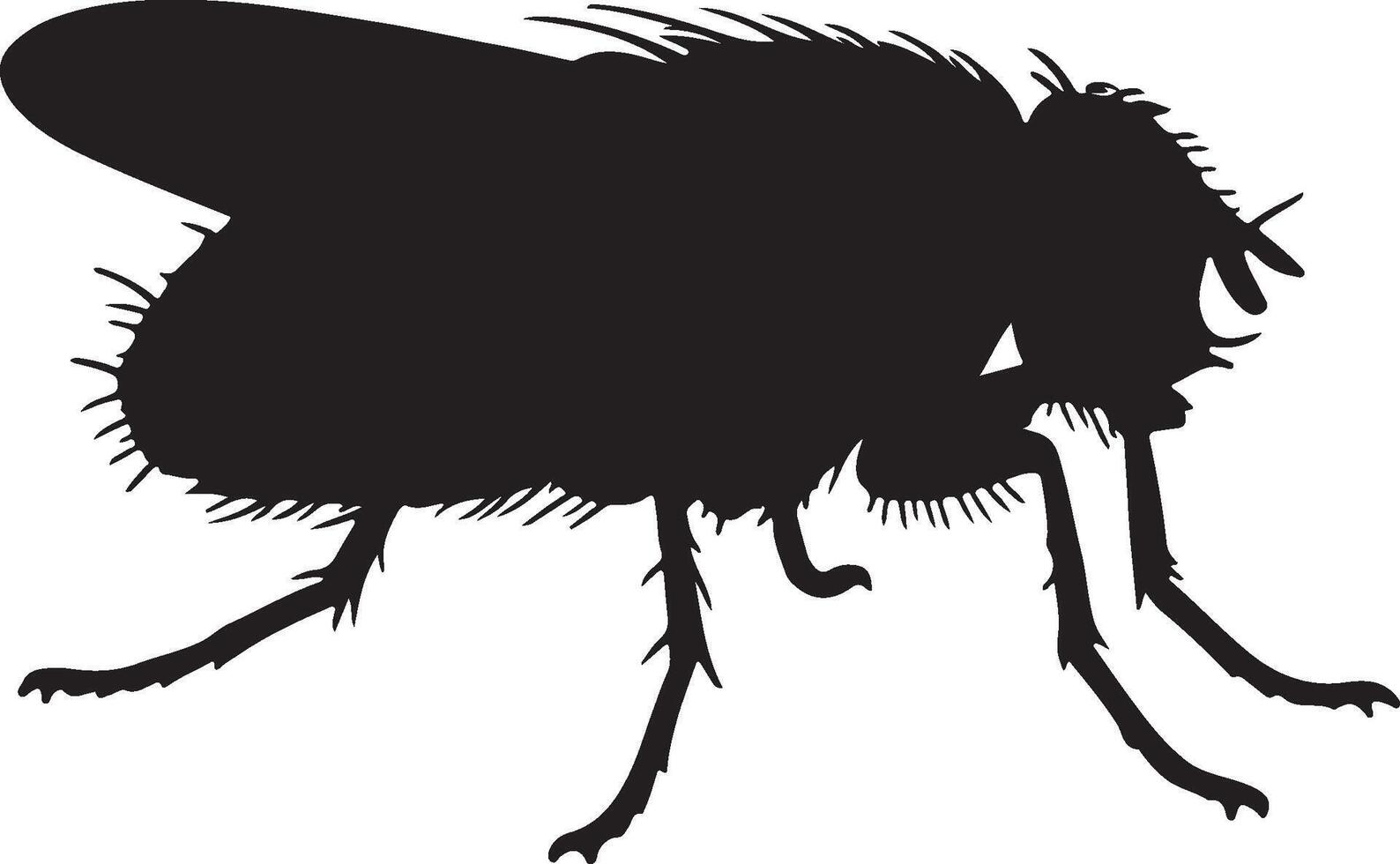 A black silhouette of a fly on a white background vector
