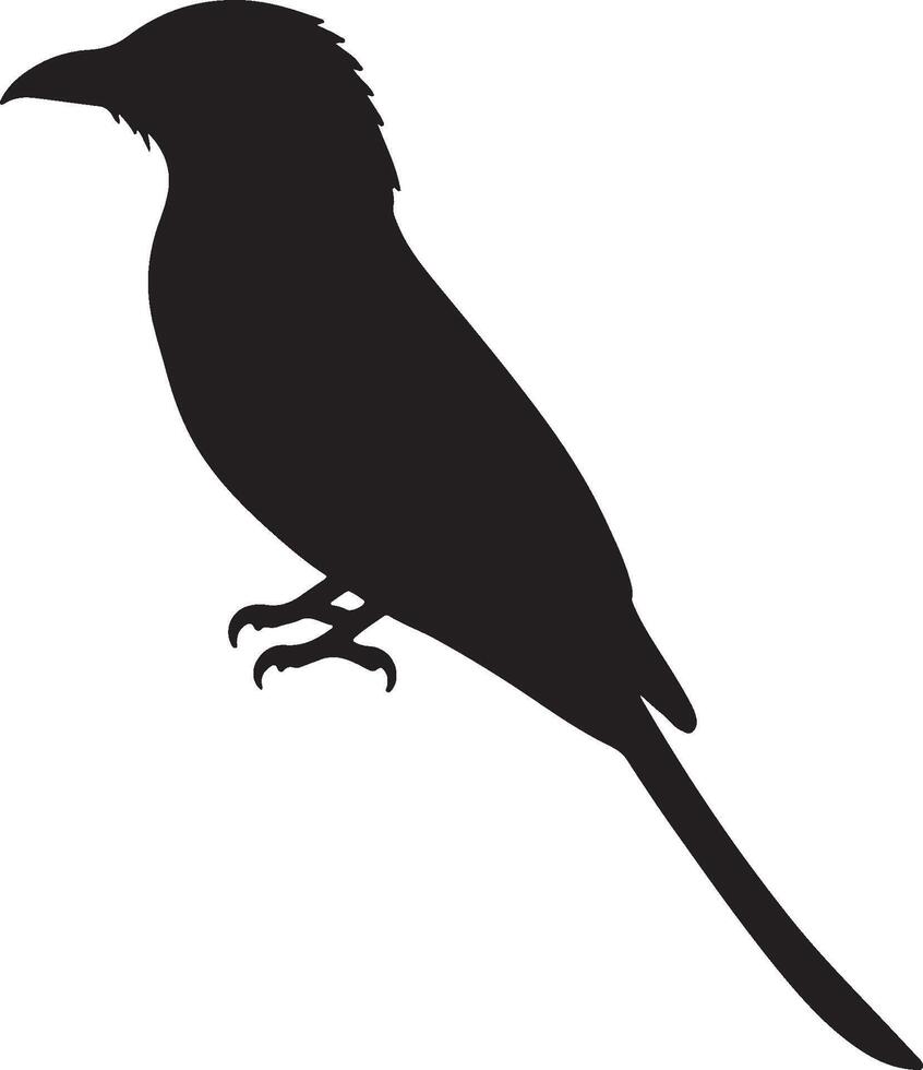 A black bird silhouette on a white background vector
