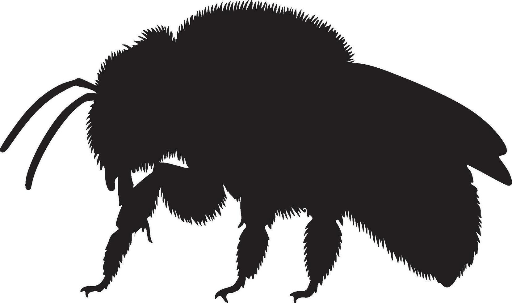 A black and white silhouette of a bee vector