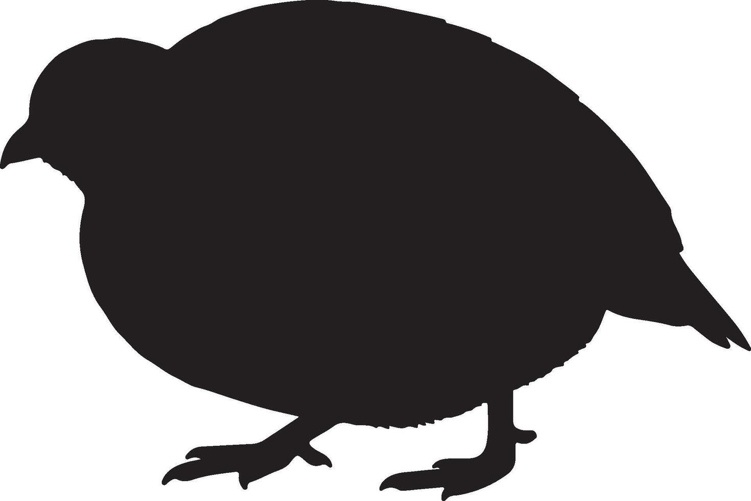 A black silhouette of a quail on a white background vector