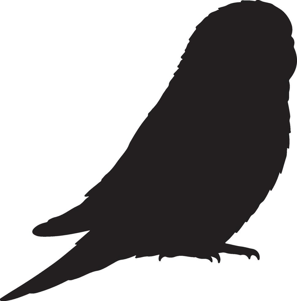 A black silhouette of a parakeet on a white background vector