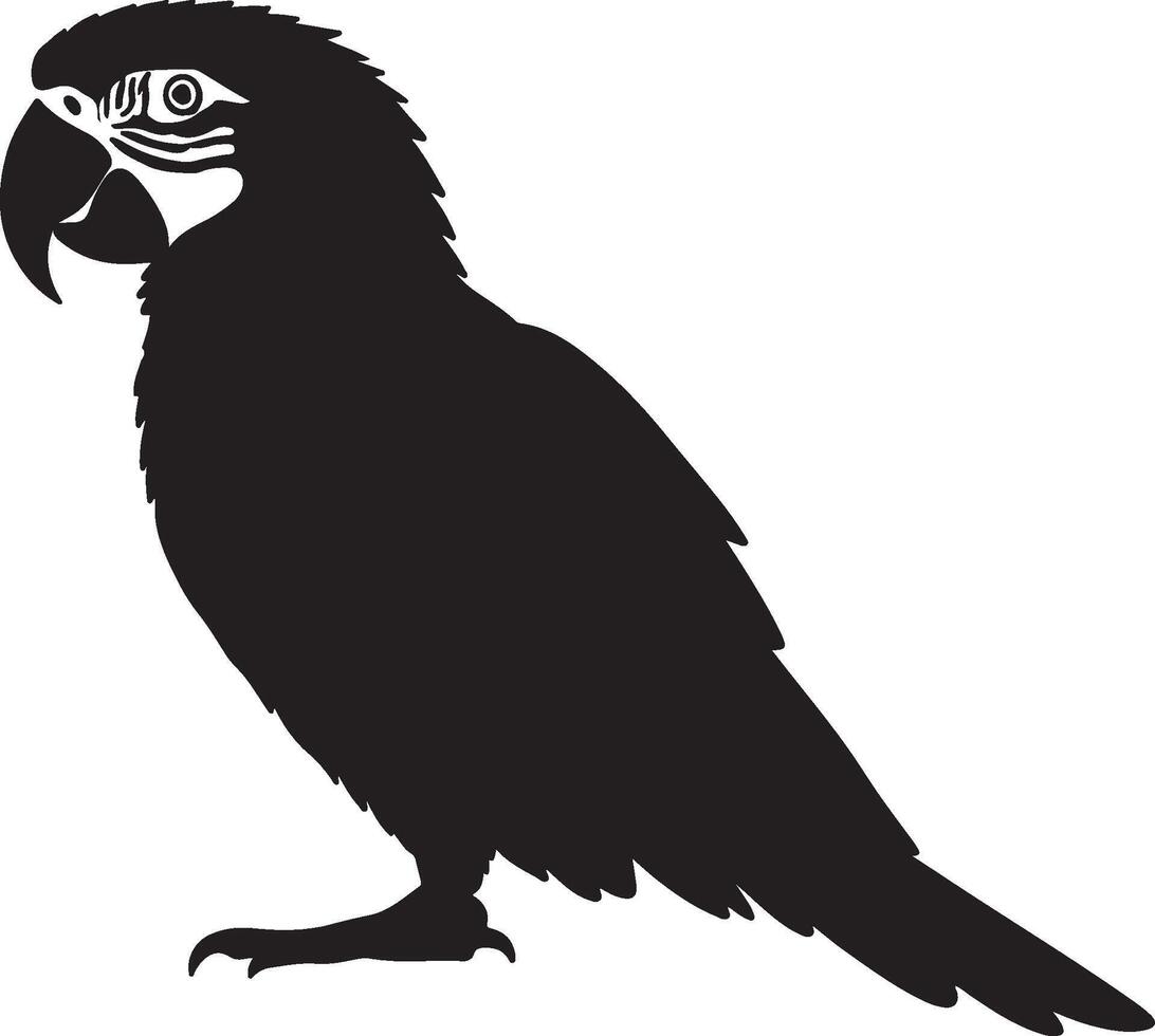A black and white silhouette of a parrot vector