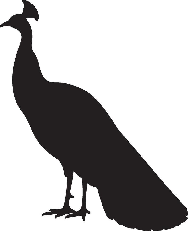 A silhouette of a peacock standing on a white background vector