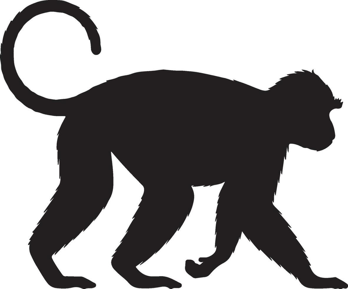 A silhouette of a monkey walking vector